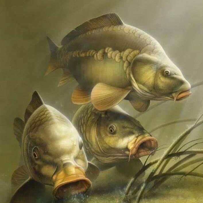 2014 - img106854806470.jpeg